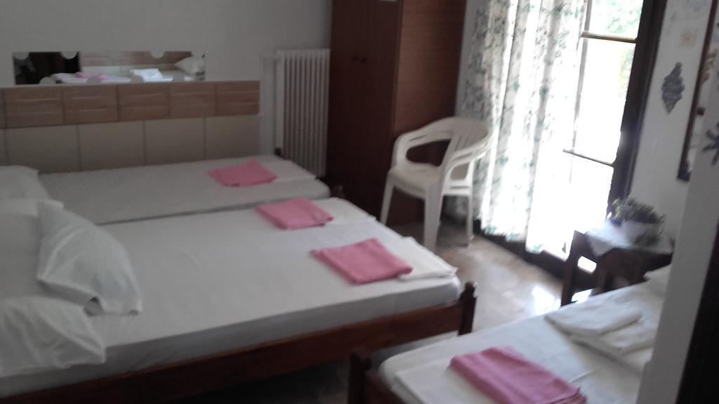 Theoxenia Apartment Pteleós Екстериор снимка